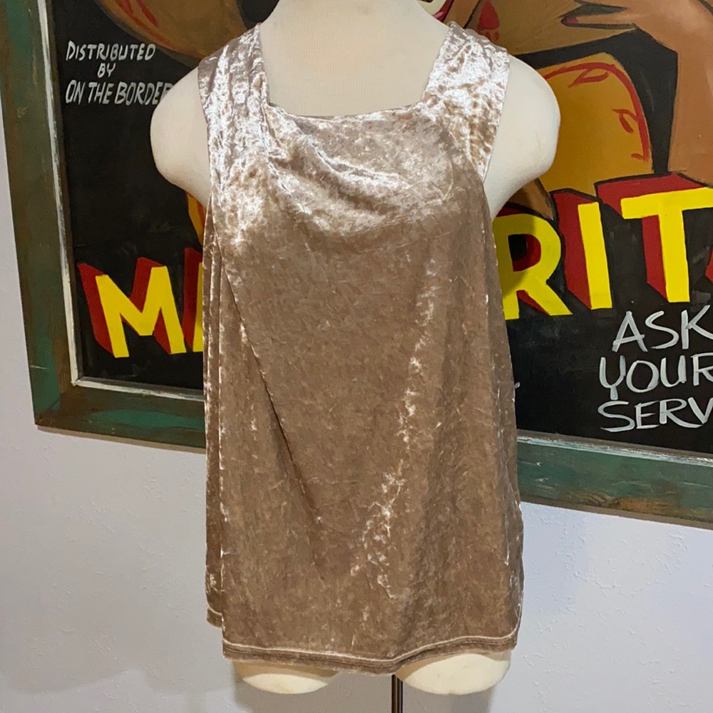 NWT Porridge Clothing Anthropologie Velvet Tank Top